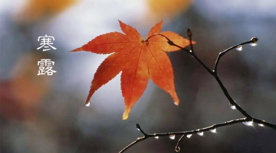 寒露時(shí)節(jié)！金環(huán)電器提醒大家要注意的事項(xiàng)