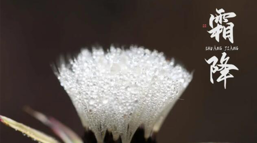 霜降時節(jié)！金環(huán)電器提醒大家要注意的事項