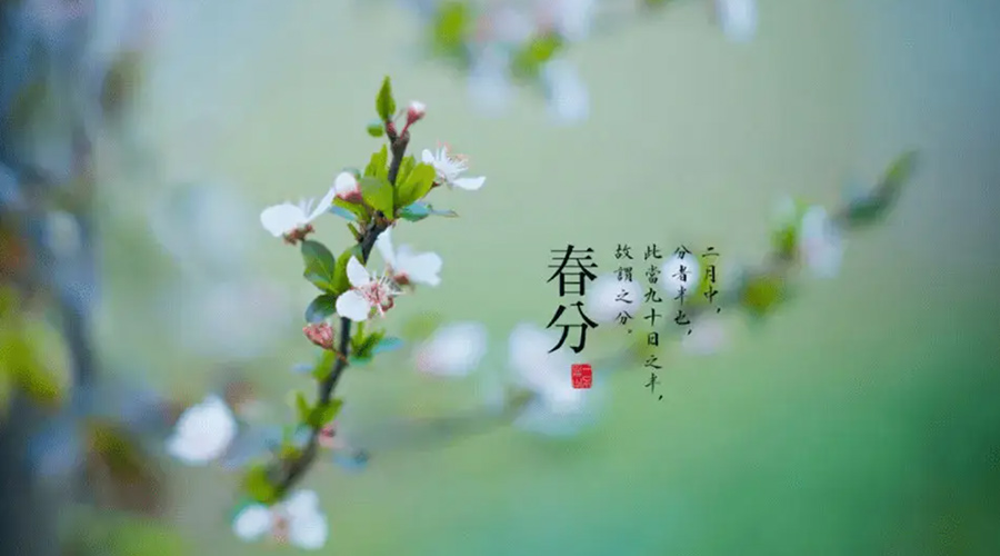 春分雨水多易生菌！金環(huán)電器提醒你衣物要注意處理