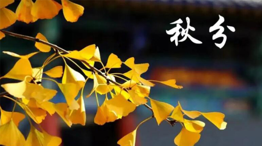 秋分時節(jié)！金環(huán)電器提醒大家要注意的事項